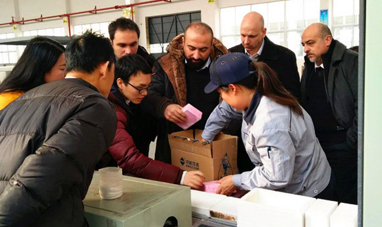 维多利亚老品牌vic(集团)官方网站