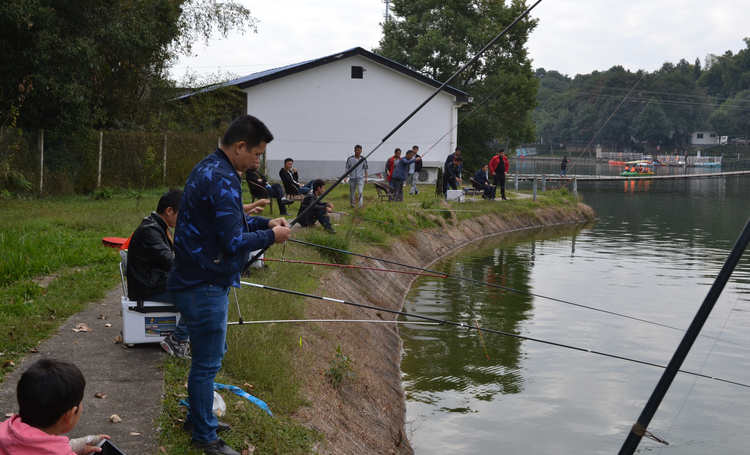 维多利亚老品牌vic(集团)官方网站