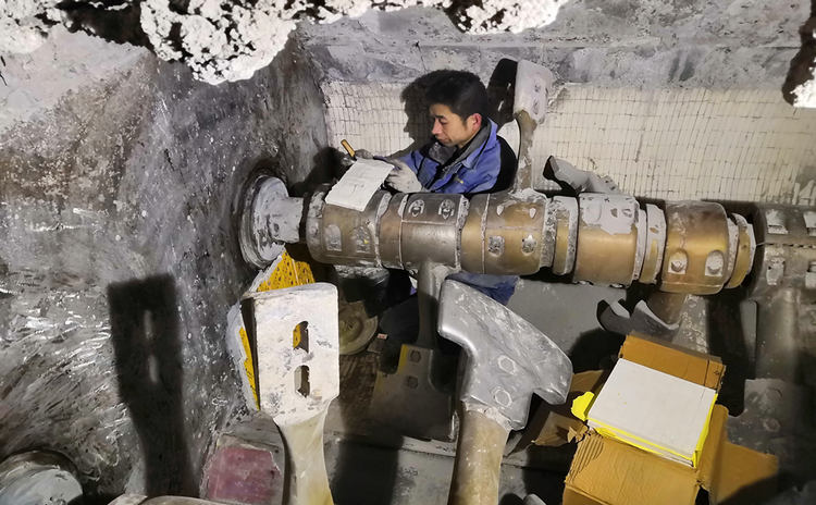 维多利亚老品牌vic(集团)官方网站